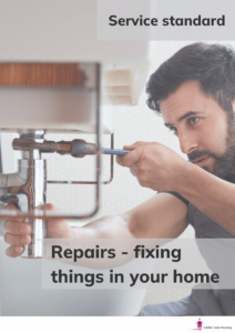 image with text service standard repairing and fixing things in your home